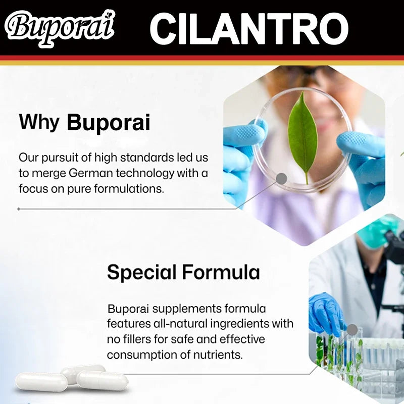 Cilantro Supplement - Rich Source of Antioxidants - Natural Cleansing & Detox Supplement