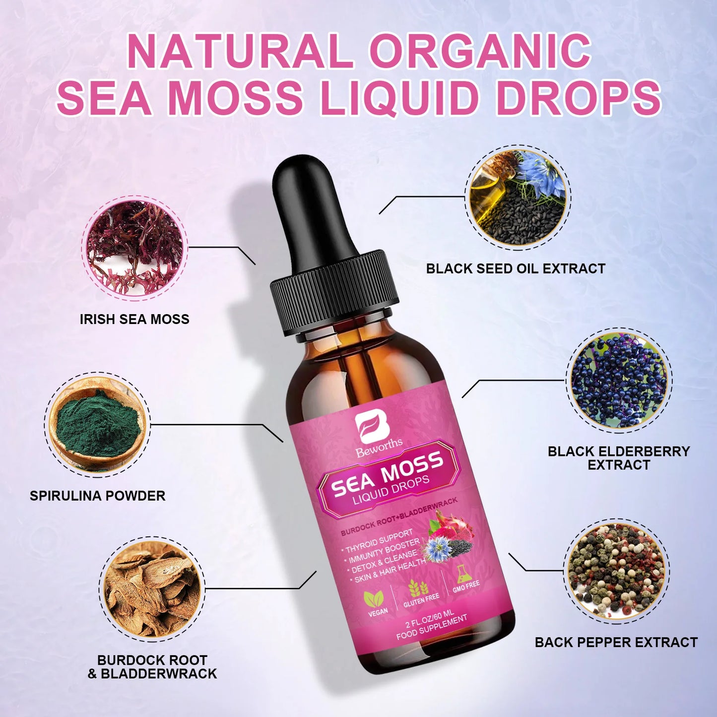 BEWORTHS Organic Black Seed Oil Sea Moss Extract Supplement Supports Immunity and Gut Digestive Health Radiant Hair & Skin