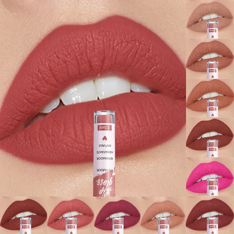 π Rose Red Matte Liquid Lipstick | Waterproof, Long-Lasting & Non-Stick π