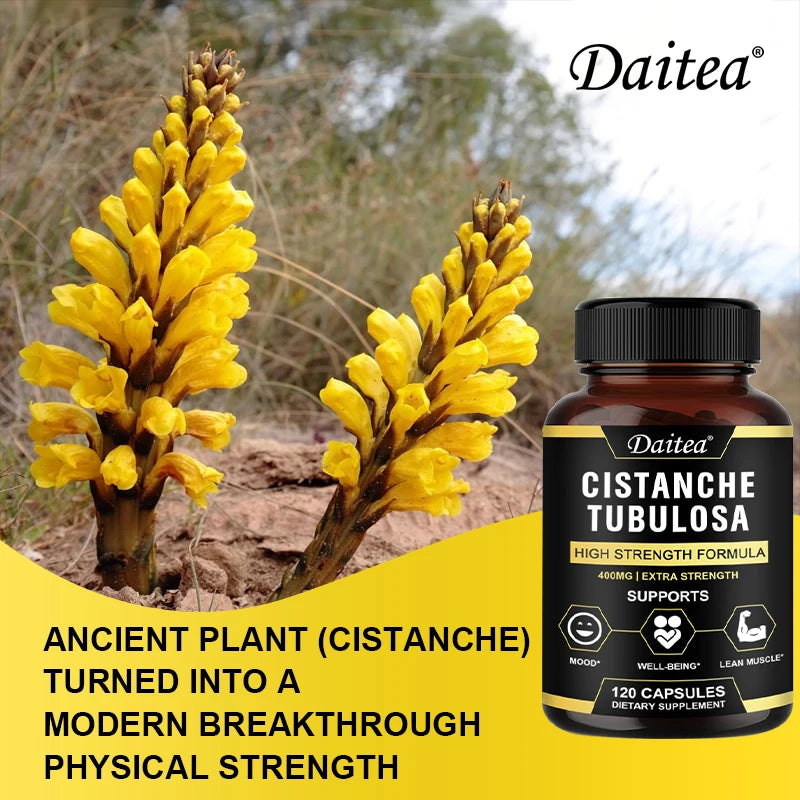 π Cistanche Tubulosa Extract 400mg | Boost Endurance & Muscle Health π